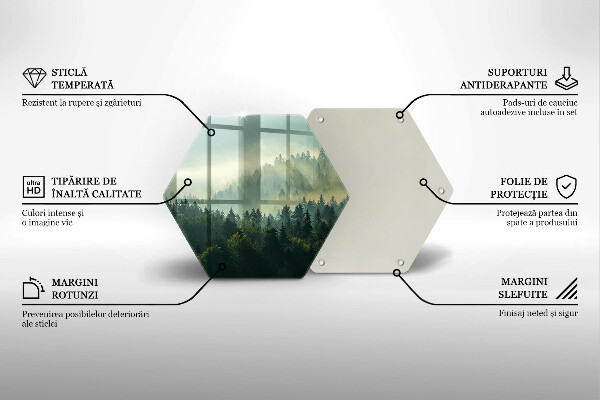 Tabla de cortar de vidrio Vista del paisaje del bosque