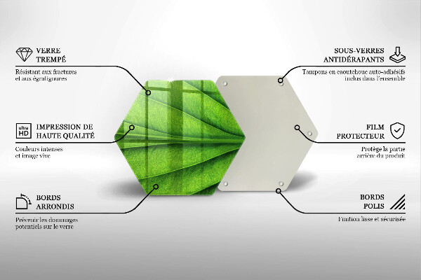 Tabla de cortar de vidrio Hoja de vena natural