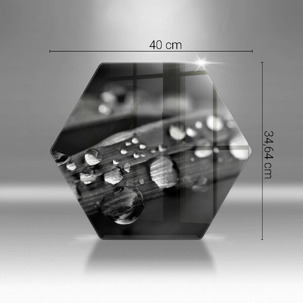 Tabla de cortar de vidrio Gotas de rocío sobre las hojas