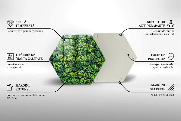 Tabla de cortar de vidrio Planta de musgo natural