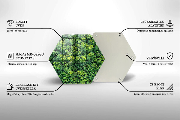 Tabla de cortar de vidrio Planta de musgo natural