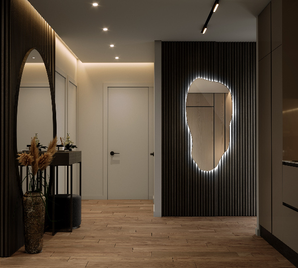 Espejo organico con luz led moderno 50x100 cm