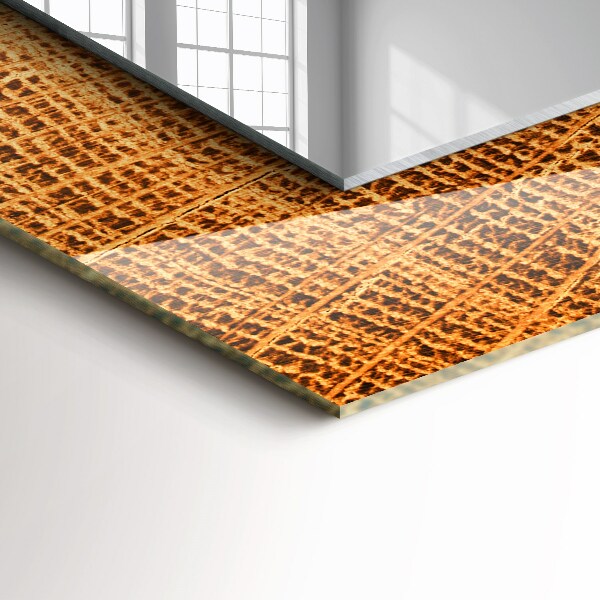 Sección transversal de los anillos de crecimiento de un tronco de árbol