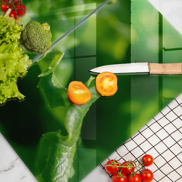 Tapa encimera Hojas de lechuga