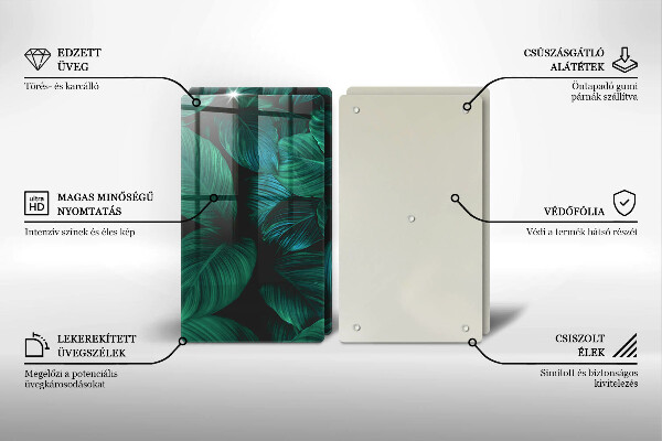 Protector pared cocina Hojas de la selva