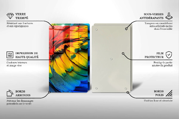 Protector pared cocina Plumas de loro de colores