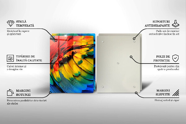 Protector pared cocina Plumas de loro de colores