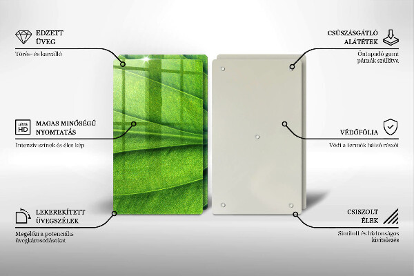 Protector pared cocina Hoja de vena natural