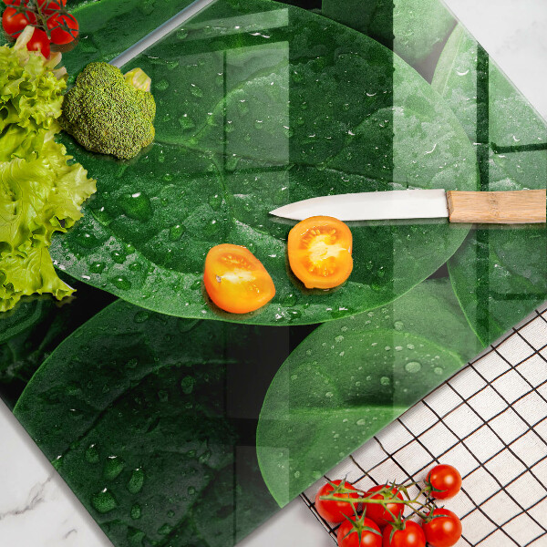 Protector pared cocina Hojas de albahaca