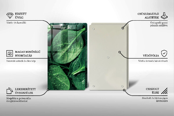 Protector pared cocina Hojas de albahaca