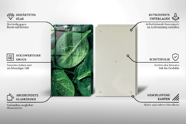 Protector pared cocina Hojas de albahaca