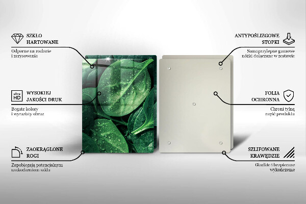 Protector pared cocina Hojas de albahaca