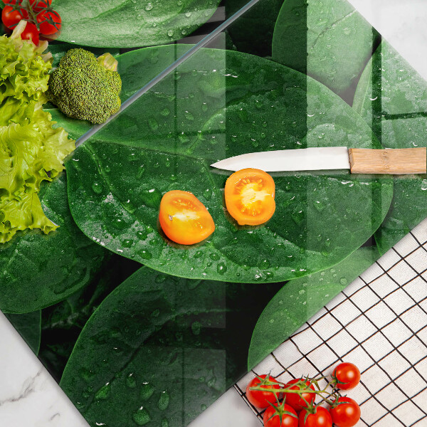 Protector pared cocina Hojas de albahaca