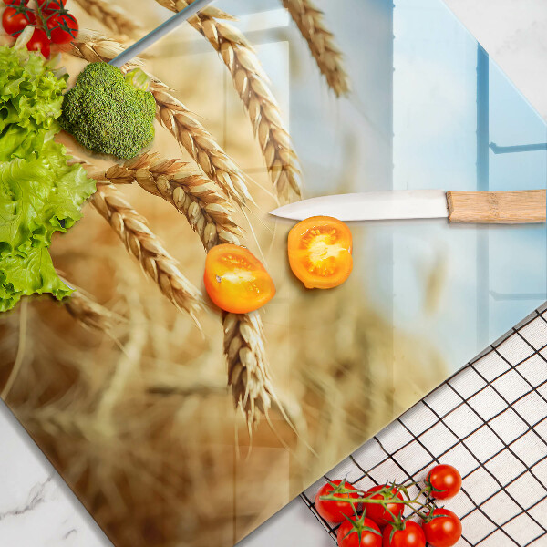 Protector pared cocina Espigas de cereales en el campo.