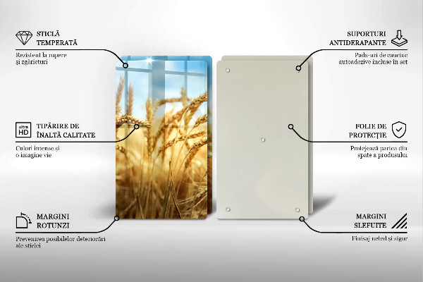 Protector pared cocina Espigas de cereales en el campo.