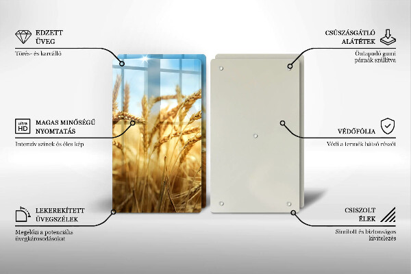 Protector pared cocina Espigas de cereales en el campo.