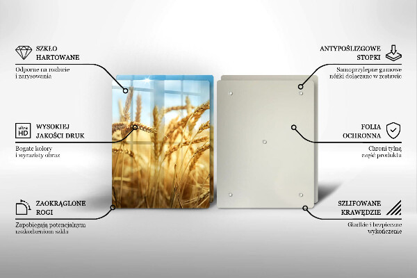 Protector pared cocina Espigas de cereales en el campo.