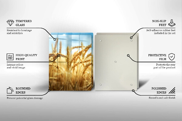 Protector pared cocina Espigas de cereales en el campo.