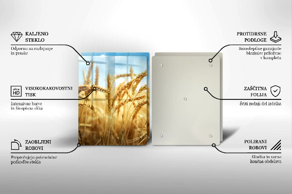 Protector pared cocina Espigas de cereales en el campo.