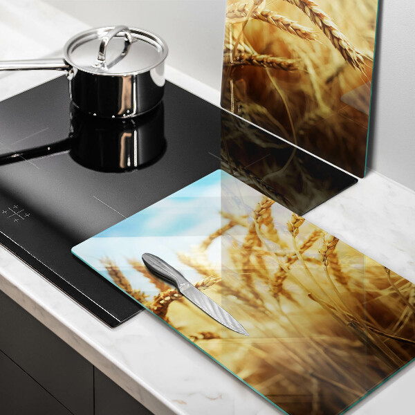 Protector pared cocina Espigas de cereales en el campo.