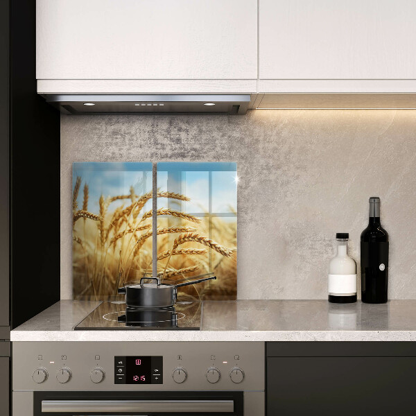 Protector pared cocina Espigas de cereales en el campo.