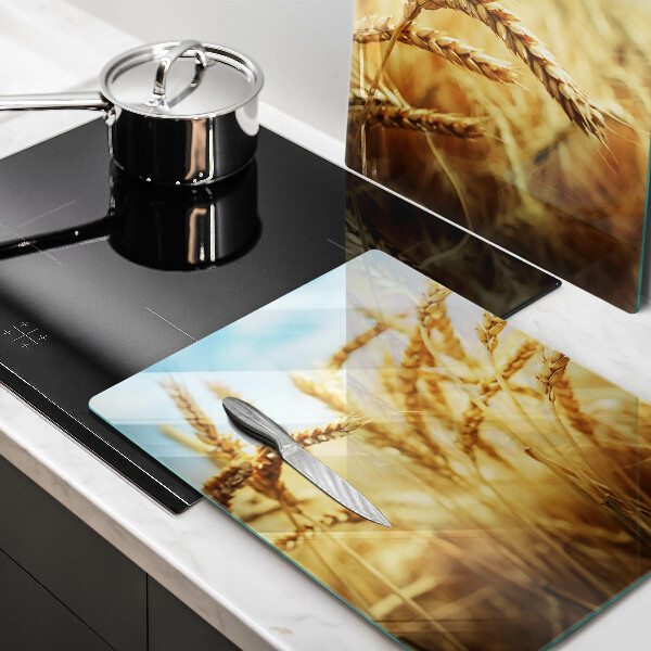 Protector pared cocina Espigas de cereales en el campo.