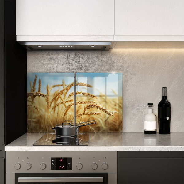 Protector pared cocina Espigas de cereales en el campo.