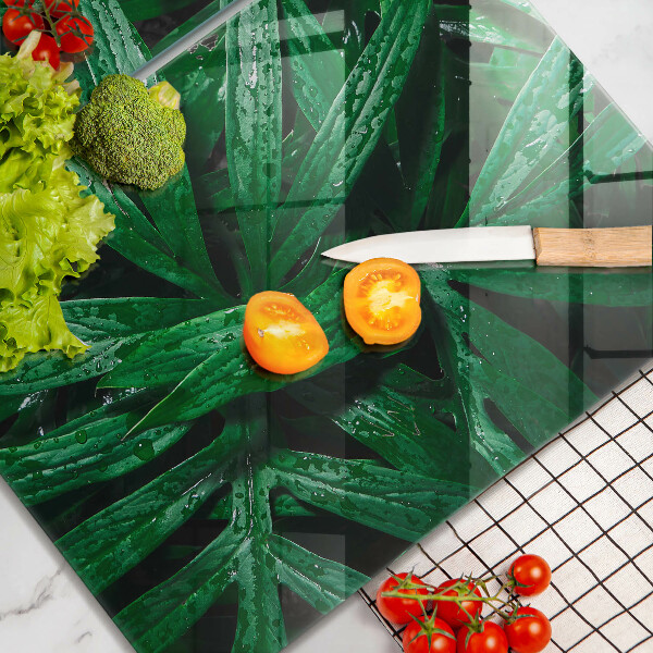 Protector pared cocina Hojas de plantas