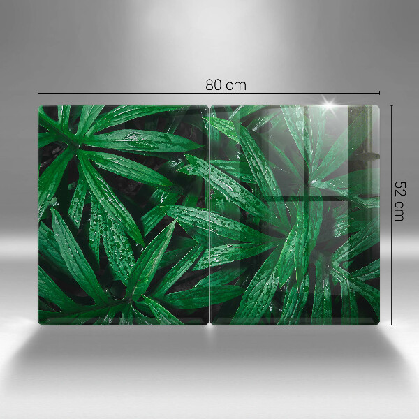 Protector pared cocina Hojas de plantas