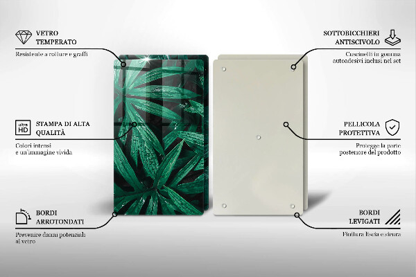 Protector pared cocina Hojas de plantas