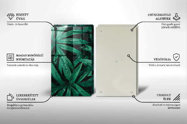 Protector pared cocina Hojas de plantas