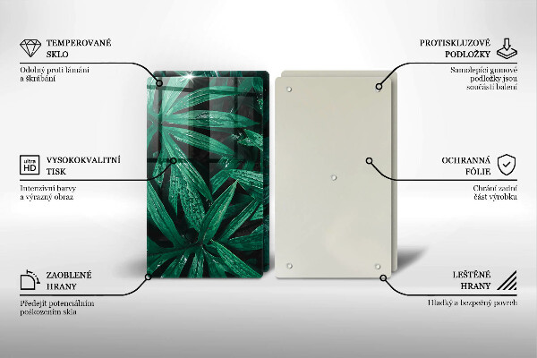 Protector pared cocina Hojas de plantas