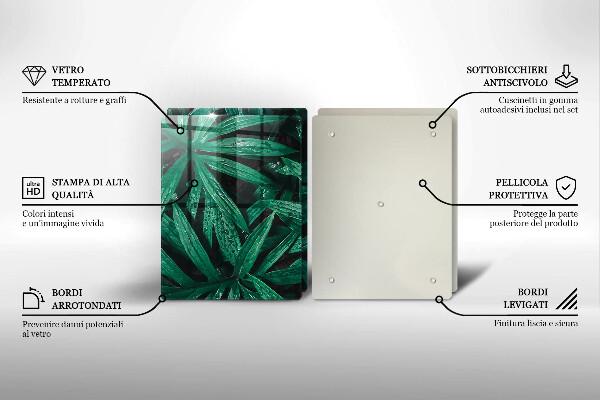 Protector pared cocina Hojas de plantas