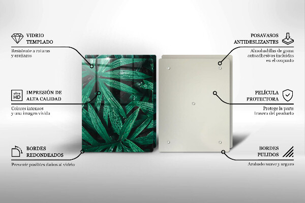 Protector pared cocina Hojas de plantas