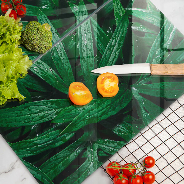 Protector pared cocina Hojas de plantas