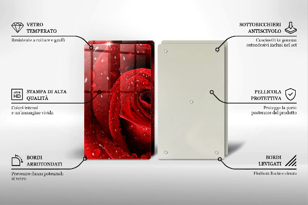 Protector pared cocina Pétalos de rosas