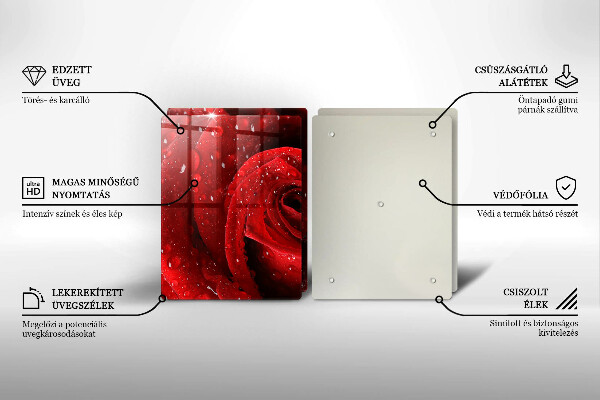 Protector pared cocina Pétalos de rosas