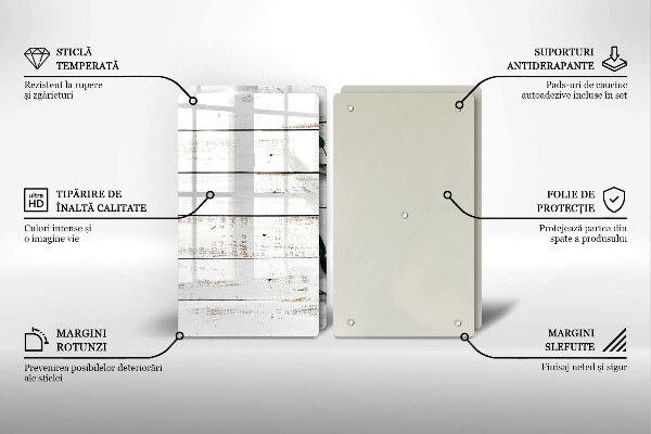 Protector pared cocina Tablas y hojas viejas