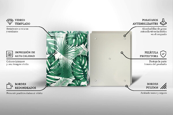 Protector pared cocina Hojas de monstera