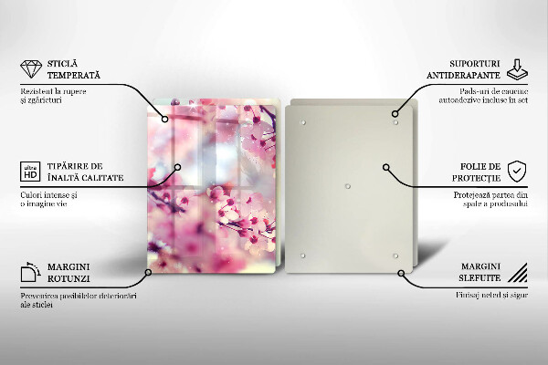 Protector pared cocina Flores de manzana de la naturaleza