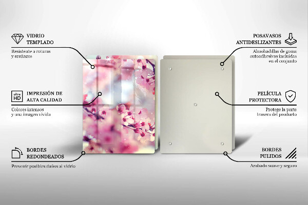 Protector pared cocina Flores de manzana de la naturaleza