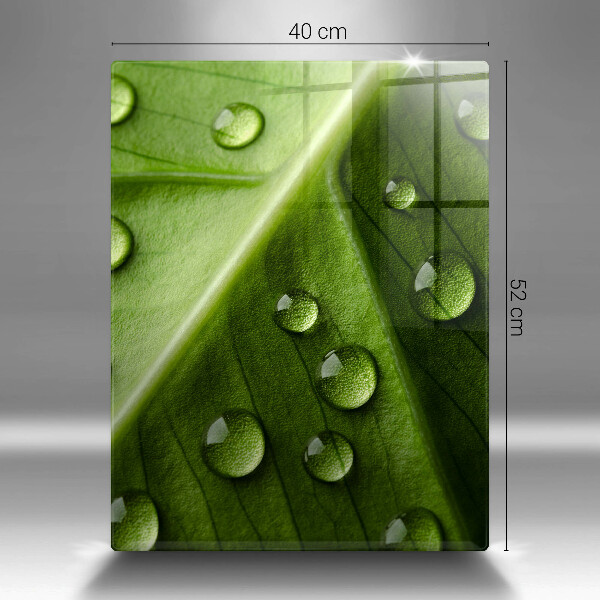 Cubre encimera Hoja y rocío de la naturaleza