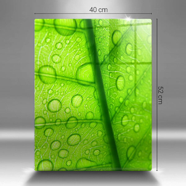 Cubre encimera Primer plano de una hoja