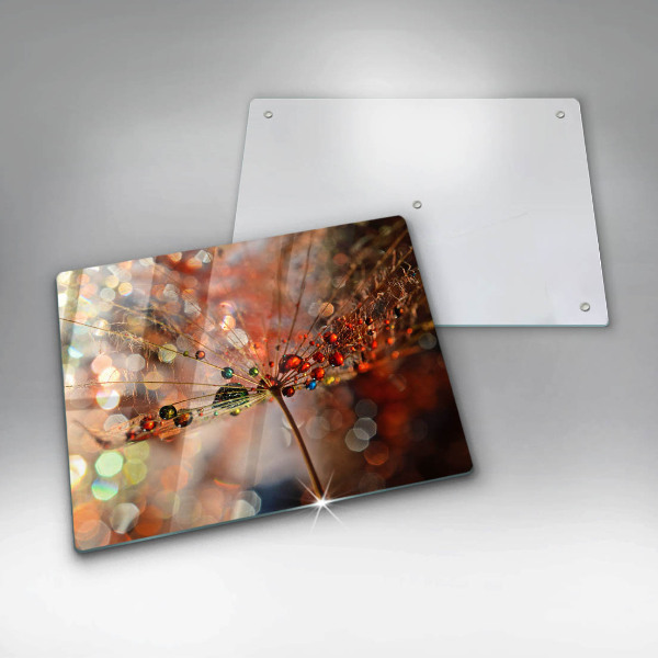 Cubre vitrocerámica diente de león mojado