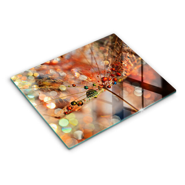 Cubre vitrocerámica diente de león mojado