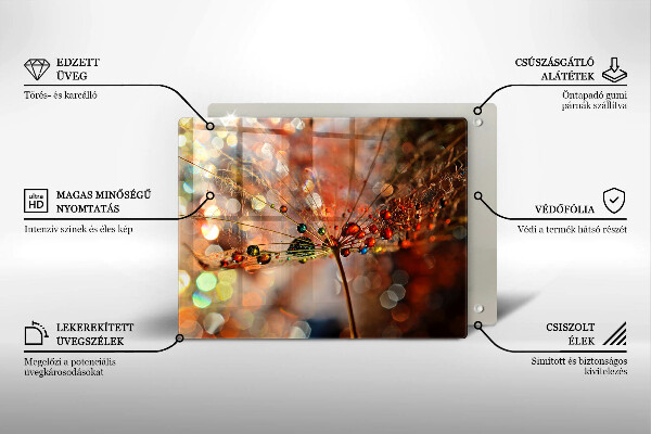 Cubre vitrocerámica diente de león mojado