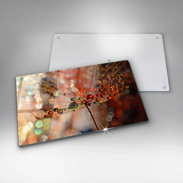 Cubre vitrocerámica diente de león mojado