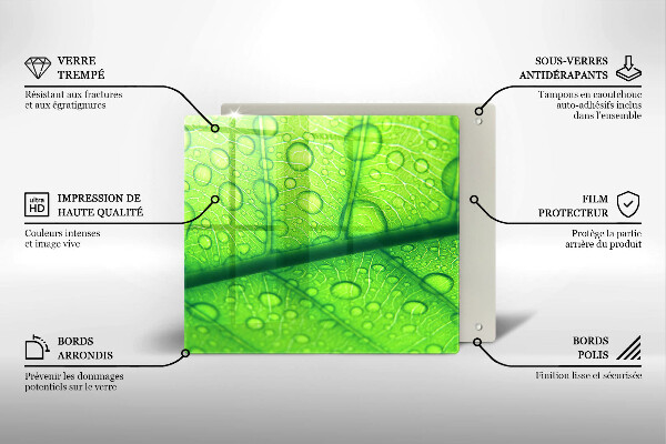 Protector encimera Primer plano de una hoja