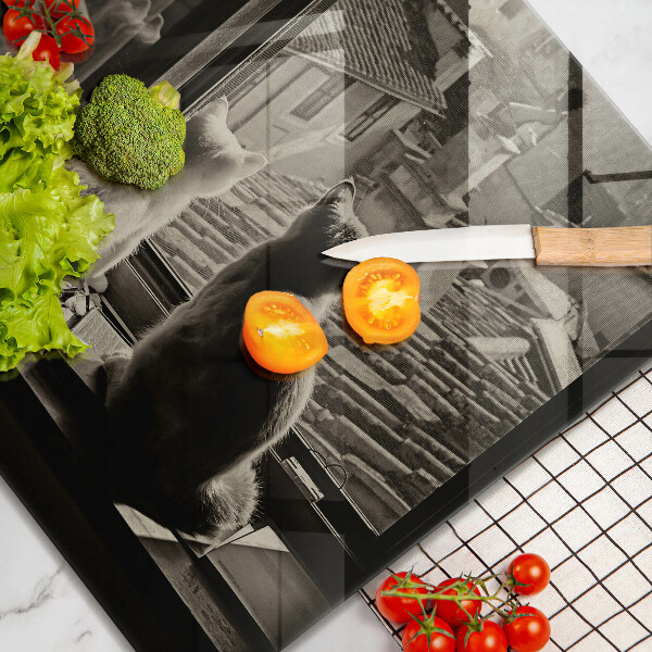 Protector encimera Ventana y ciudad de gatos