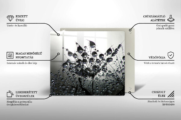 Protector encimera Dientes de león y rocío